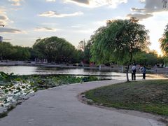 -太阳宫公园