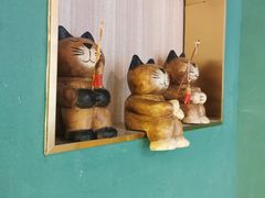 -飞行喵MR PILOT|猫舍·猫咖(静安大融城店)