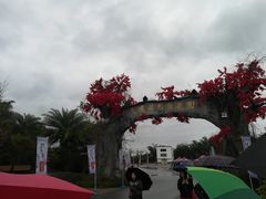 -天适樱花悠乐园