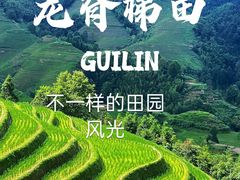 -龙脊梯田