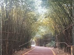 -西安汉城湖景区