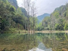 -五泄景区
