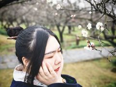 -香雪海