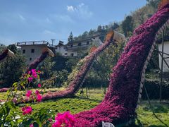-新安江山水画廊风景区