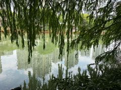 -白塘生态植物园