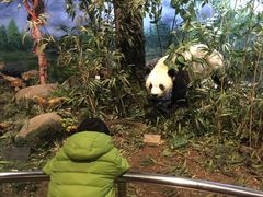 -陕西自然博物馆