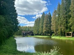 -黄海国家森林公园