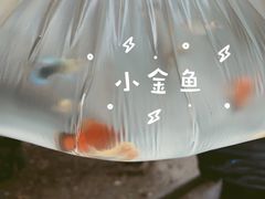 -双季花艺园艺市场(浦东店)