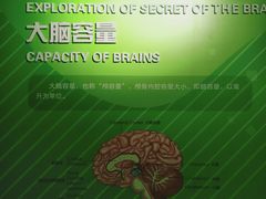-松江科技馆