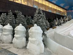 -世界之窗阿尔卑斯冰雪世界