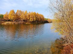 -塞罕坝国家级自然保护区