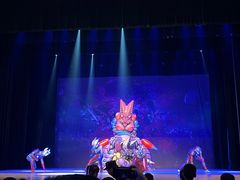 -西安索菲特人民大厦大剧院