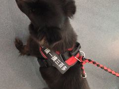 -爱侣宠医·鹦鹉专科·小型哺乳类·异宠专科(灵石路店)