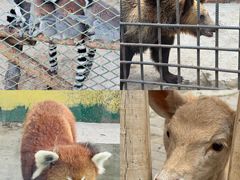 -水上乐园·欢乐世界