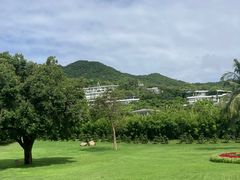 -三亚南山文化旅游区