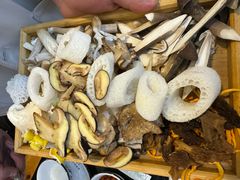 -草墩罗非鱼庄•野生菌•腊排骨(七星街上段店)