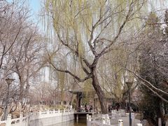 -桃花堤公园