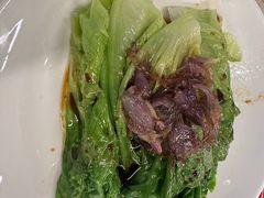 -百利鸽王(紫薇路店)