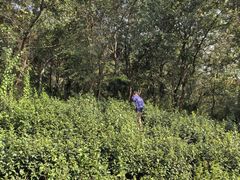 -敬亭山风景名胜区