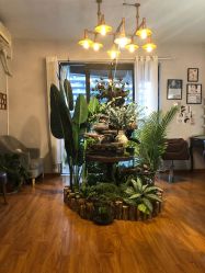 -杨益美学·野生眉半永久纹眉发际线