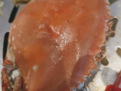 -半岛听涛蒸汽海鲜自助(K11店)
