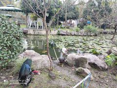 -洪湖家庭农场·团建·露营·会议