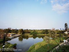 -荔湾湖公园