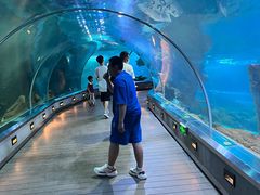 -石家庄海洋公园