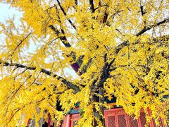 景点-宝通禅寺