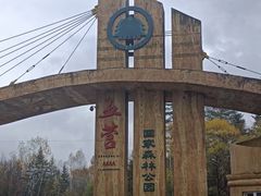 -五营红松林海景区