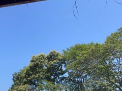 -终南山南五台景区