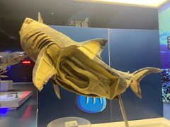 -金石蜡像馆