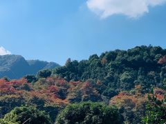 -听风阁农家私房菜茶楼(龙坞店)