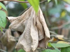 -行人小筑·茶馆(岑村火炉山分店)