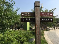 -白马涧龙池景区