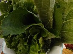 -揽月斋炙子烤肉·清真(安定门·五道营店)