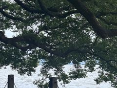 -西湖游船