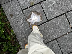 -润泽天·湘味家宴(岳麓山店)