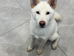 -美联众合24小时·皮肤科·外科·全科诊疗中心(华苑分院)