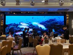 -金苑海鲜酒家(来魅力店)