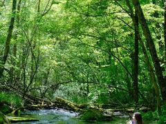 -叠溪松坪沟景区