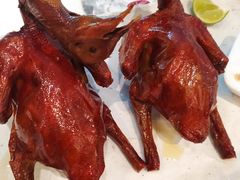 -侨美·唐荔园·40年地道粤菜