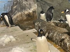 -成都浩海立方海洋公园