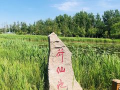 -黑龙江扎龙生态旅游区