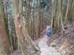 -井冈山风景名胜区-黄洋界