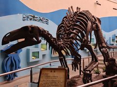 -陕西自然博物馆