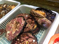 -宝燕壹号(徐汇店)