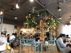 大堂-共舞时光猫咖·狗咖(新街口店)