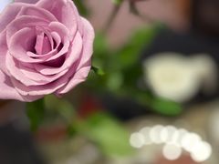 -天行健身＆天行拳馆跆拳道·格斗TXGYM