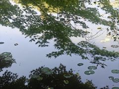 -嘉定紫藤园